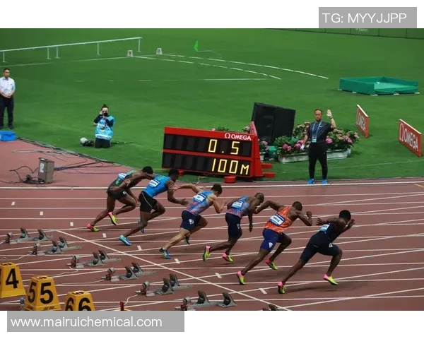 上海排球队在钻石联赛中的蜕变与未来发展展望