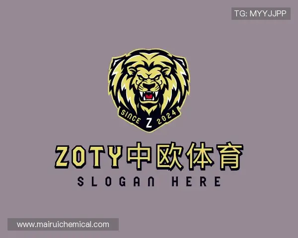 介绍zoty中欧
